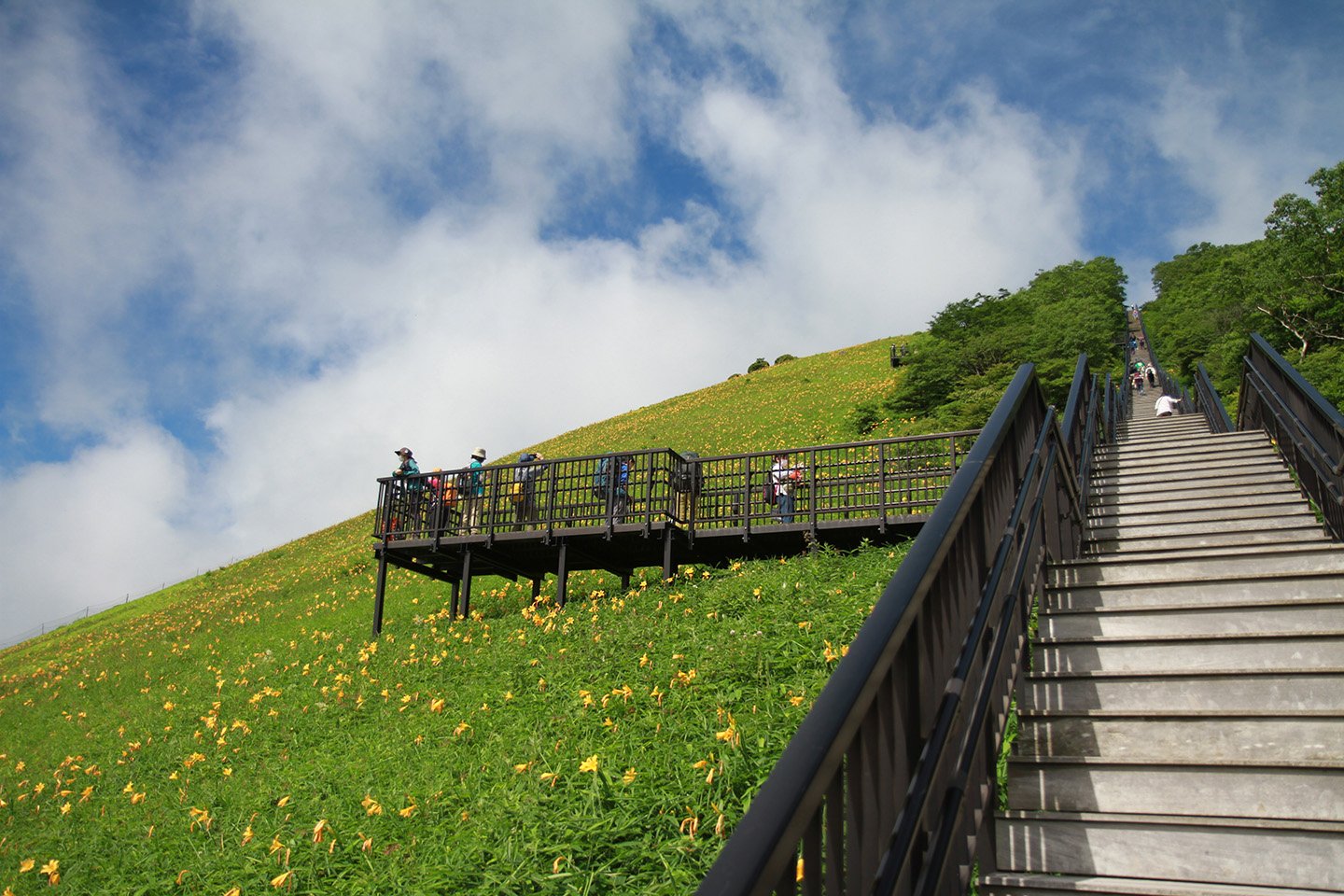 🏞️ 키스게 평원(키스게다이라엔치) 이미지 6